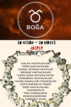 Sertifikalı Burç Taşı Boğa Burcu Jasper Taşı Bileklik