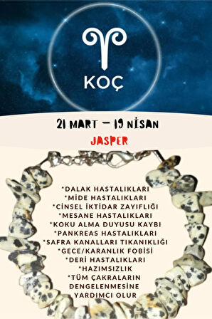 Sertifikalı Burç Taşı Koç Burcu Jasper Taşı Bileklik