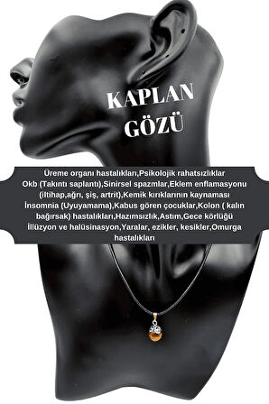 Sertifikalı Doğal Taş Kolye Aventurin & Amazonit & Kaplan Gözü & Kanada Yeşim 4 Adet Kolye