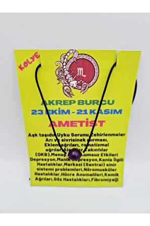 Sertifikalı Akrep Burcu Ametist Taşı Doğal Taş Kolye