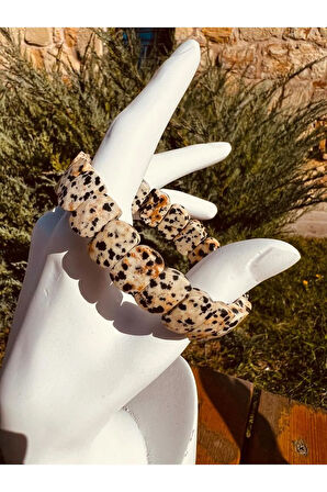 Sertifikalı Doğal Dalmaçyalı Jasper Taşı Özel Kesim Rolex Bileklik Aaa Kalite