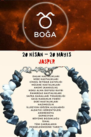 Sertifikalı Burç Taşı Boğa Burcu Jasper Taşı Bileklik