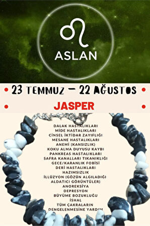 Sertifikalı Burç Taşı Aslan Burcu Jasper Taşı Bileklik