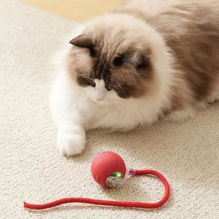 Şarjlı Otomatik Hareketli Kedi Köpek İçin 360 Derece Dönen İnteraktif Akıllı Oyun Topu (5332)