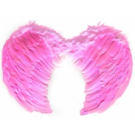 Pembe Renkli Orta Boy Çocuk Melek Kanadı 40x60 cm (5332)
