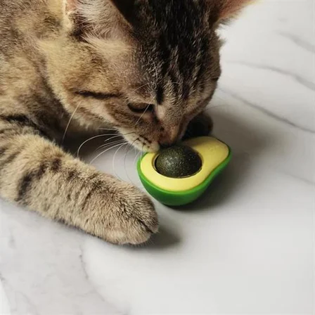 Avokado Model Yapışkanlı Kedi Oyuncağı Yenilebilir Kedi Nanesi Otu (5517)