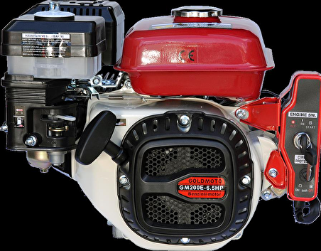 GoldMoto GM200E Benzinli Motor 6.5 Hp Marşlı Krank Mili Kamalı