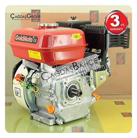 GoldMoto GM200F25 Benzinli Motor 6.5 Hp Krank Mili Frezeli 25mm