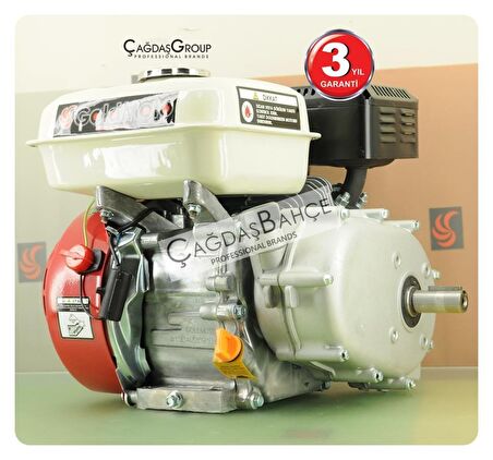 GoldMoto GM200G Benzinli Motor GoKart 6,5 Hp İpli