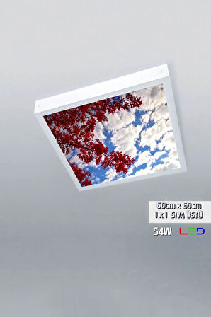 1x1-tekli-60x60-tavana Yapışık Led Panel-54w-sıva Üstü-kolay Montaj-kırmızı Ağaçlı- Led