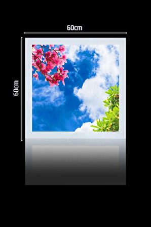 1x1-tekli-60x60-tavana Yapışık Led Panel-54w-sıva Üstü-kolay Montaj-renkli Hava- Led