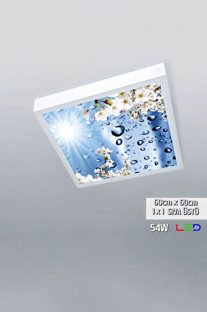 1x1-tekli-60x60-tavana Yapışık Led Panel-54w-sıva Üstü Evize-kolay Montaj-damlalı- Led