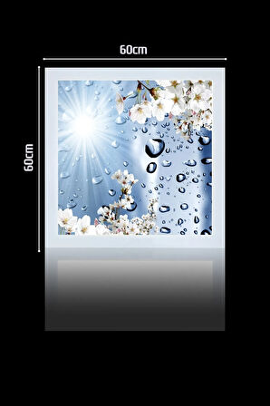 1x1-tekli-60x60-tavana Yapışık Led Panel-54w-sıva Üstü Evize-kolay Montaj-damlalı- Led