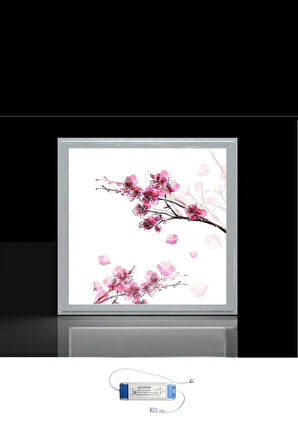 Kiraz Dalı Led Lamba- Tavana Model -kolay Montaj Avize- 60w Aydınlatma- Mercek Led Modern Çerçeve