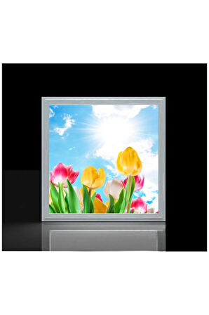 Banyo Avize- 60watt-60cmx60cm Led Yatak Odası Avize-renkli Laleler Tasarım Aydınlatma-tavana Model