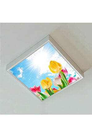 Banyo Avize- 60watt-60cmx60cm Led Yatak Odası Avize-renkli Laleler Tasarım Aydınlatma-tavana Model