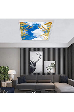 Salon Avize Modeli - 60watt Aydınlatma -60cmx60cm -led Işık Avize- Baskılı Tasarım-tavana Yapışık