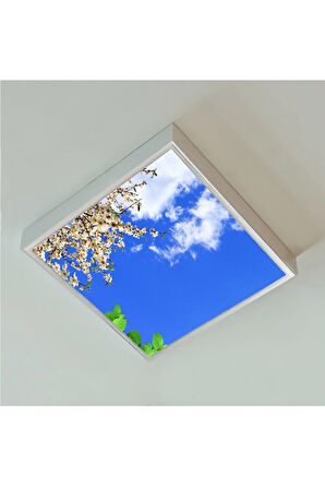 Modern Salon Avize 60watt- Kare 60cmx60cm -yeni Tasarım Aydınlatma- Tavana Yapışık Model