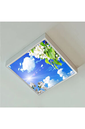 60x60 Ledli-trendyol Avize-bulutlu Çiçekler Tavan Avize-54watt-tavana Yapışık Lamba-salon Avize
