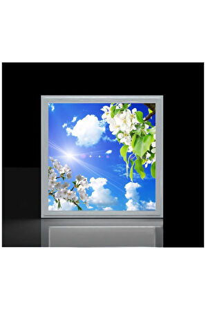 60x60 Ledli-trendyol Avize-bulutlu Çiçekler Tavan Avize-54watt-tavana Yapışık Lamba-salon Avize