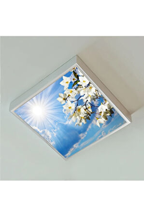 60x60 Led-54watt-trendyol Avize-yatak Odası-tavan Avize-beyaz-tavana Yapışık Model-salon Avize