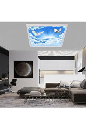 Yatak Odası Avize- 60x60 54w-yeni Ensil Aydınlatma-kuşlu Gökyüzü Tavan-6500k-beyaz Işık-tavan Avize