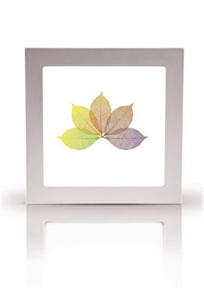 Banyo Avize-60cmx60cm-54watt-led-armatür-wc-aydınlatma-desenli-panel-banyo-led-su Almaz Led Lamba-a+