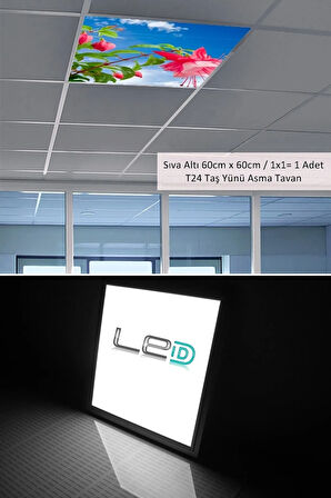 Asma Tavan-60cmx60cm-sıva Altı-54w-6500k-beyaz-led Panel-led Armatür-taş Yünü Asma Tavan-hastane Led