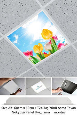 Asma Tavan-60cmx60cm-sıva Altı-54w-6500k-beyaz-led Panel-led Armatür-taş Yünü Asma Tavan-banyo Tavan