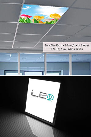 Asma Tavan-60cmx60cm-sıva Altı-54w-6500k-beyaz-led Panel-led Armatür-taş Yünü Asma Tavan-banyo Tavan