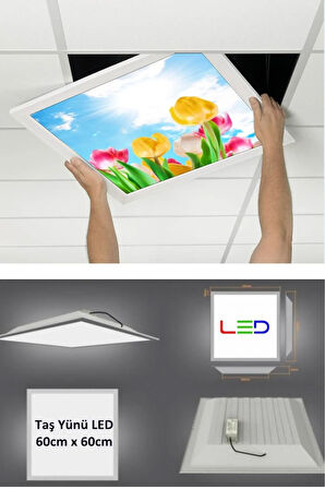 Asma Tavan-60cmx60cm-sıva Altı-54w-6500k-beyaz-led Panel-led Armatür-taş Yünü Asma Tavan-banyo Tavan