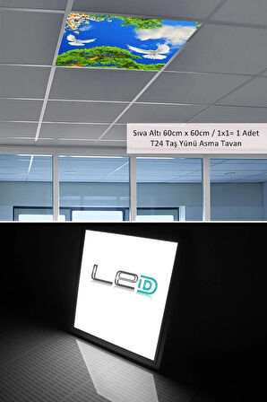 Asma Tavan-60cmx60cm-sıva Altı-54w-6500k-beyaz-led Panel-led Armatür- 60x60 Taş Yünü Asma Tavan -led