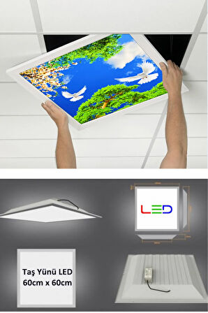 Asma Tavan-60cmx60cm-sıva Altı-54w-6500k-beyaz-led Panel-led Armatür- 60x60 Taş Yünü Asma Tavan -led