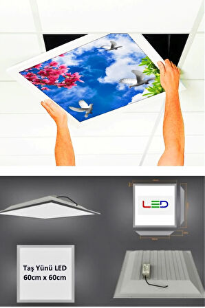 Asma Tavan-60cmx60cm-sıva Altı-54w-6500k-beyaz-led Panel-led Armatür- 60x60 Taş Yünü Asma Tavan-led