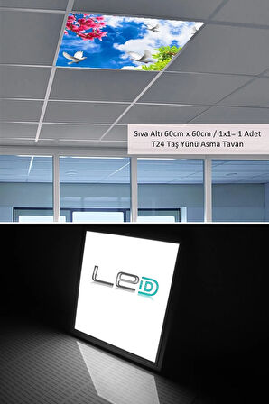 Asma Tavan-60cmx60cm-sıva Altı-54w-6500k-beyaz-led Panel-led Armatür- 60x60 Taş Yünü Asma Tavan-led