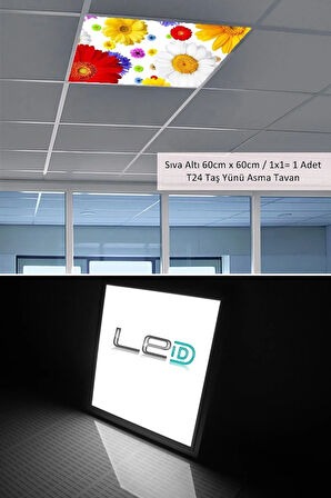 Asma Tavan Led-60cmx60cm-sıva Altı-54w-6500k-led Panel-led Armatür- 60x60 Taş Yünü Asma Tavan Ledi
