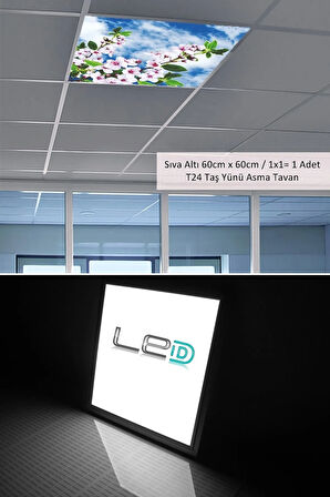 Asma Tavan Led-60cmx60cm-sıva Altı-54w-6500k-led Panel-led Armatür- 60x60 Taş Yünü Asma Tavan Ledli