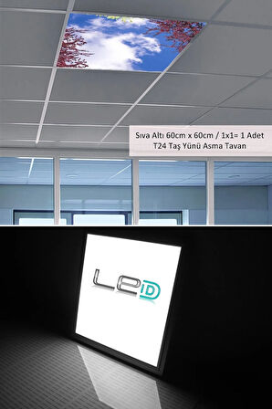 Asma Tavan Led-60cmx60cm-sıva Altı-54w-6500k-led Panel-led Armatür- 60x60 Taş Yünü Asma Tavan Ledi
