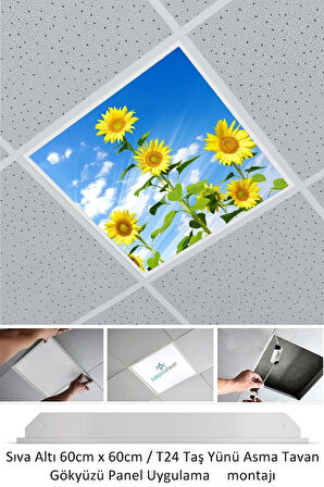 Asma Tavan Led-60cmx60cm-sıva Altı-54w-6500k-led Panel-led Armatür-60x60 Taş Yünü Asma Tavan Ledi-a+