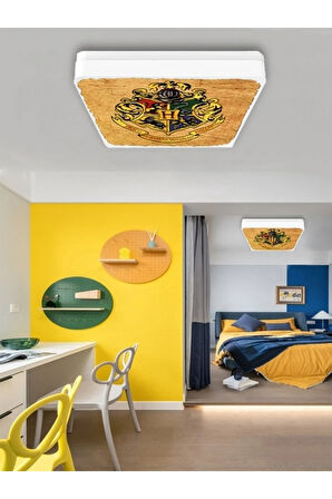 Harry Potter-led Avize-25watt-30cm X 30cm Çocuk Odası Avize Luks Led Avize