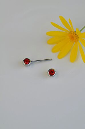 Kırmızı Tektaş Model Nipple Piercing Meme Ucu Piercingi Gümüş Renkli