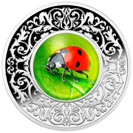RimaGold RimaGold Uğur Böceği Kılıfı Gümüş Sikke Coin