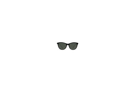 PERSOL 3190S 95 31 54 Güneş Gözlüğü