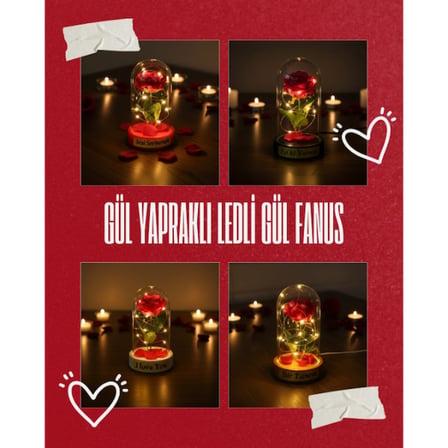 Gül Yapraklı Ledli Gül Fanus