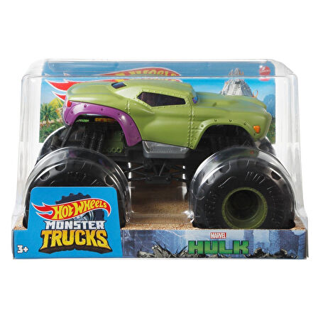 FYJ83 Hot Wheels Monster Trucks 1:24 Arabalar