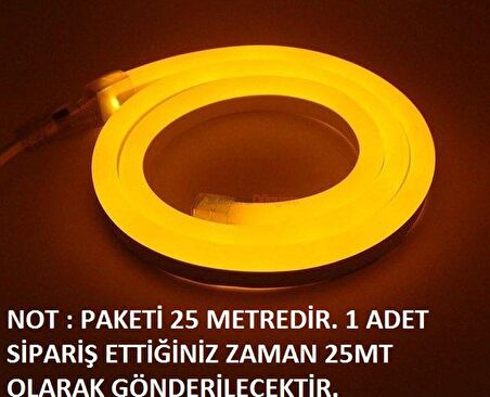 CT-4554 NEON LED HORTUM AMBER(25 MT) CATA