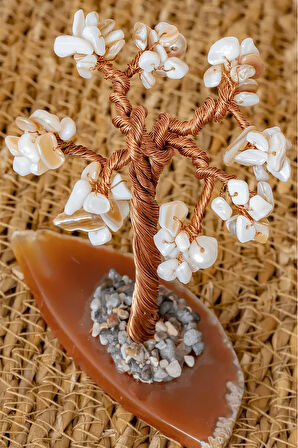 Sertifikalı Gerçek Sedef Doğal Taşı Ağaç - Akik Plakalı