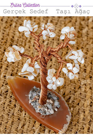 Sertifikalı Gerçek Sedef Doğal Taşı Ağaç - Akik Plakalı