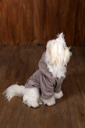 REPER GRİ KEDİ KÖPEK KALIN SOFT CEPLİ POLAR SWEATSHİRT