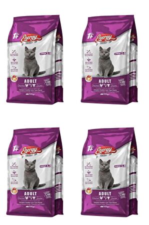 Energy Gurme Yetişkin Kedi Maması 500 G - 4 Adet